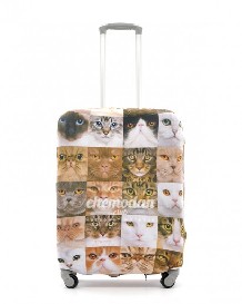 Чехол для чемодана "Photo cats" M
